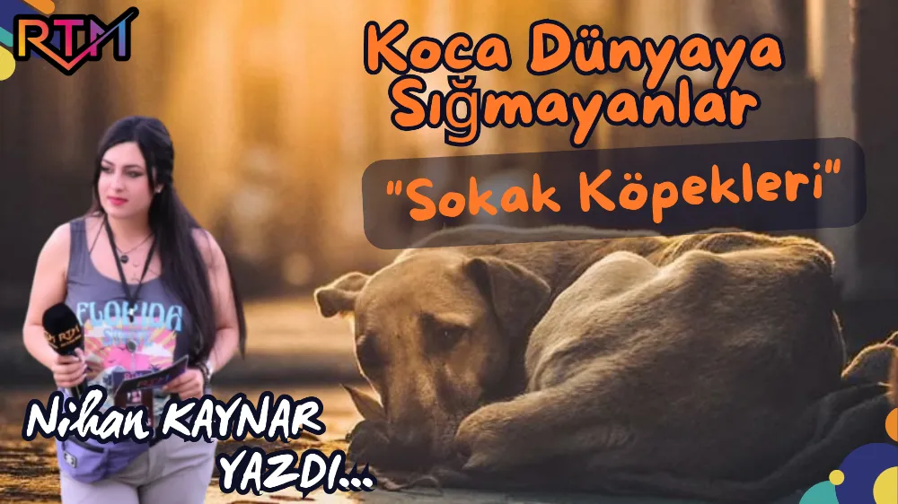 Koca Dünyaya Sığmayanlar 