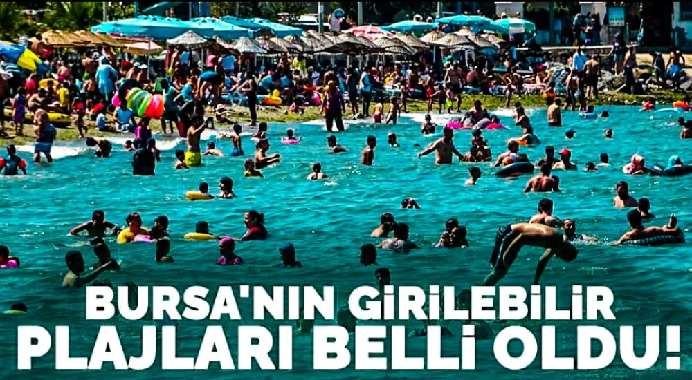 Bursa