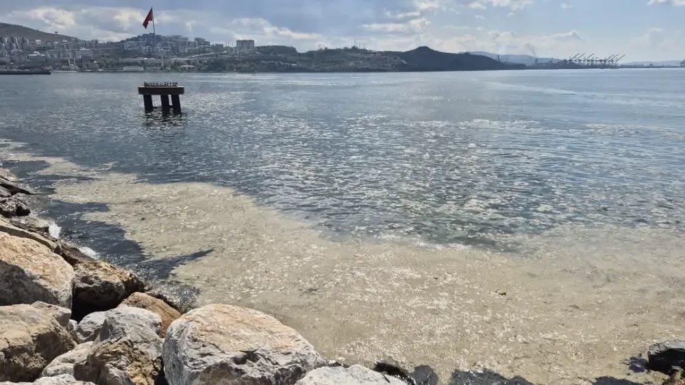 Beklenen Oldu Gemlik Körfezi’nde Müsilaj Kabusu Geri Geldi...